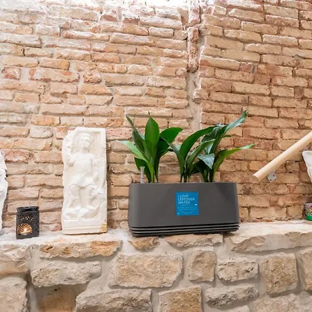 לינה וארוחת בוקר Casa Amando Eco Boutique House 3*